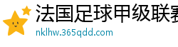 法国足球甲级联赛